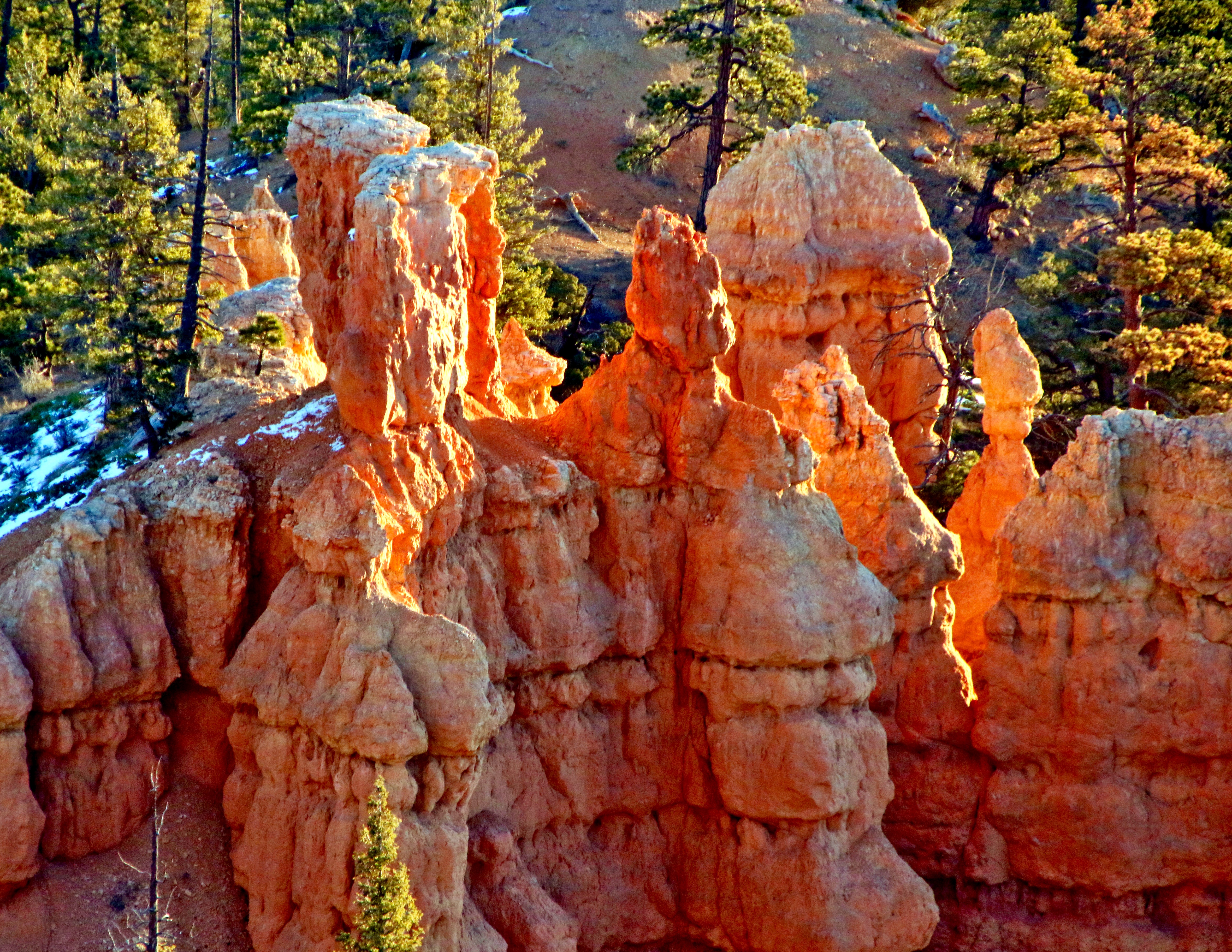 Hoodoos of Bryce Canyon | Shutterbug